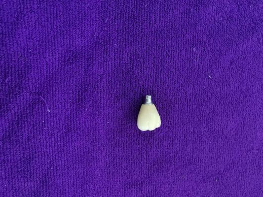 Enig Implants van Tandtrushine OSSETEM Tandinrichtingsniveau
