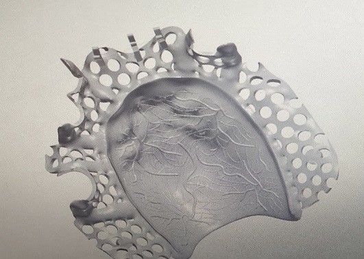 CAD van het de Legerings Gedeeltelijk Gebit van het Ontwerptitanium het Metaalkader