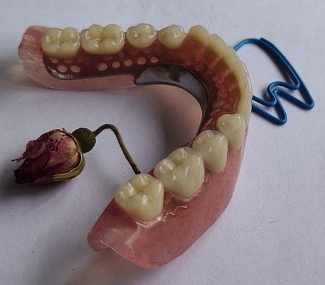 Het volledige Acryl Gedeeltelijke Gebit van Gebit Permanente Esthetics