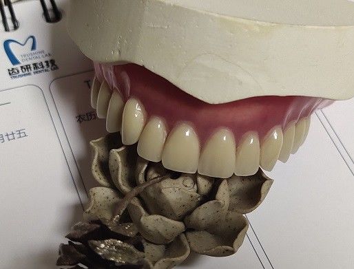 Het volledige Acryl Gedeeltelijke Gebit van Gebit Permanente Esthetics