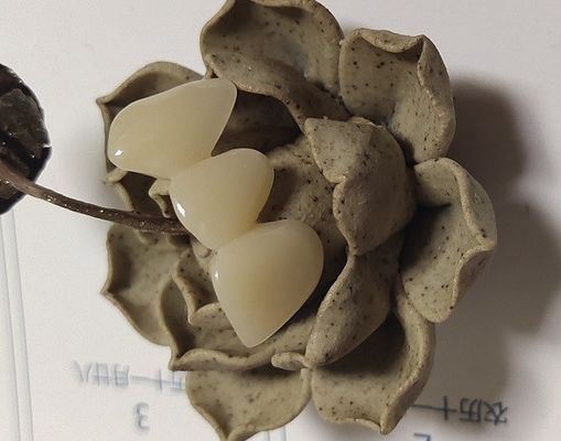 De natuurlijke Kleurenhars baseerde Samengestelde Kronen