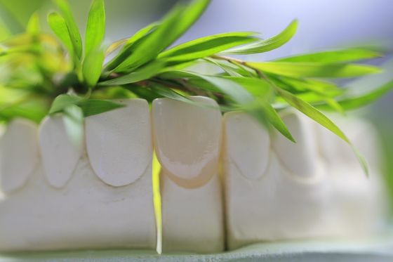 Natuurlijke Permanente Glas Ceramische Tandkroon voor Voorafgaande Tanden