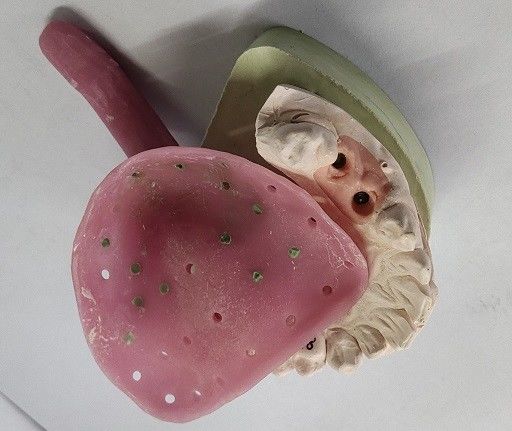 De Douanedienbladen van Trushinepremade voor Gebitten Andere Tandproducten