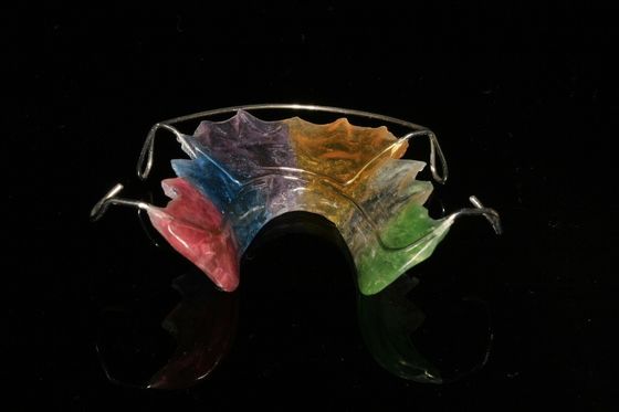 De Tandheelkunde Orthodontisch Tandtoestel van het douaneonderhoud